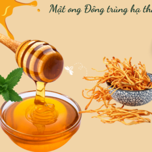 Đông trùng hạ thảo ngâm mật ong (380ml)